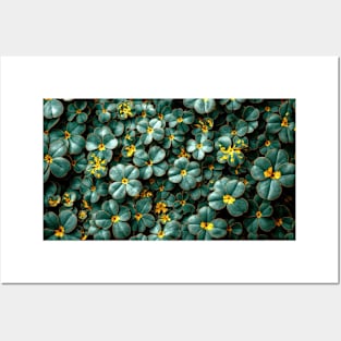 Four Leaf Clovers - Landscape Posters and Art